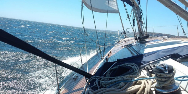 Half-Day Charter and Coastal Delights Lagos, Portugal