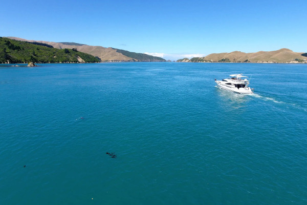 Alquiler de yates a motor de lujo en Tennyson Inlet, Nueva Zelanda