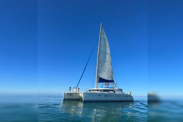 Catamaran half day charter offer Chileno-Bay Mexico