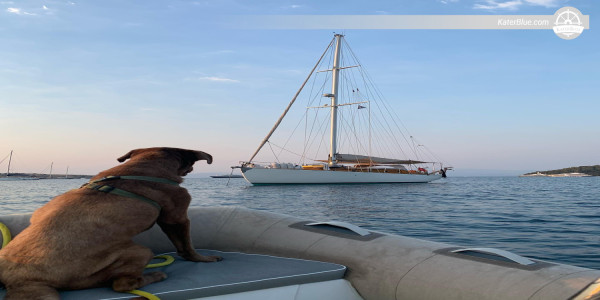 San Clemente Island Sojourn Day Charter Wonder Venice, Italy