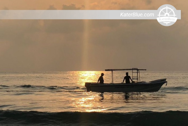 Fantastische walvis- en dolfijnexcursie in Trincomalee, Sri Lanka