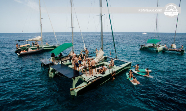 Skippered catamaran day sailing voyage Punta-Galera Spain