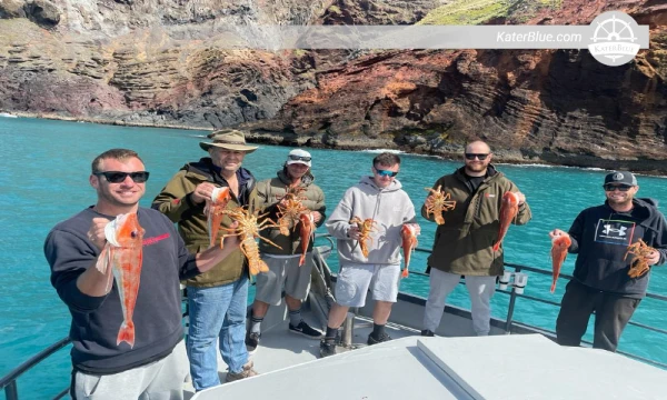 Private Day Charter 30 Pax Motor Boat Akaroa, New Zealand