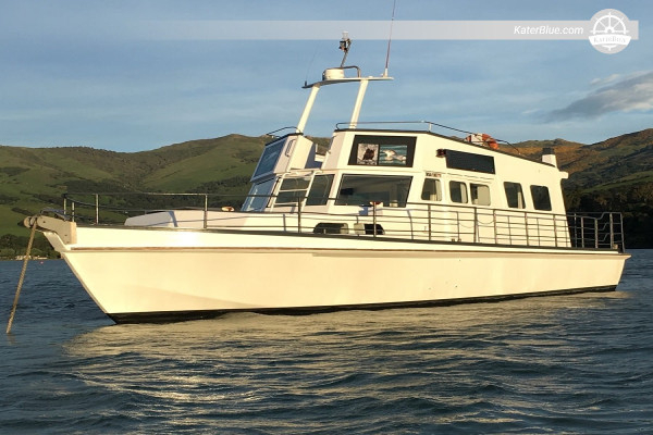 Wild Life Charter 30 Pax Motor Boat Akaroa, New Zealand