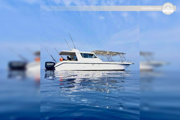 Cruzeiro de 6 horas até a Ilha Al-Buraidi - Aluguel de barco de luxo saindo da Marina de Jeddah