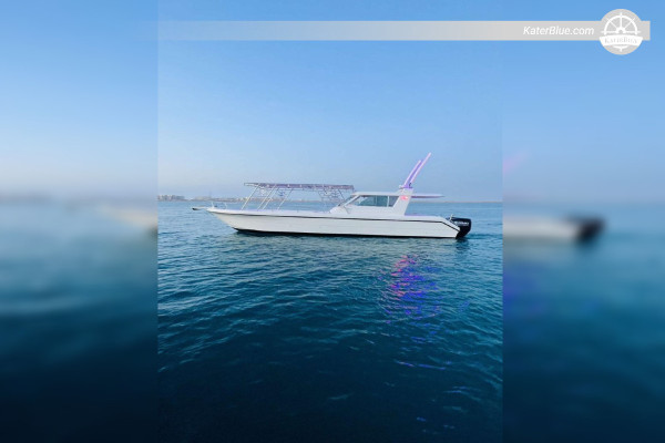 Explore a região de Sharm - Cruzeiro panorâmico de 1 hora, Marina de Jeddah
