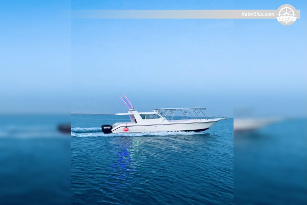 Excursão de 3 horas de mergulho com snorkel no Mar Vermelho, Marina de Jeddah