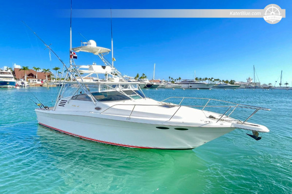 8-godzinny prywatny czarter jachtu – Searay 52, z przystani Cap Cana do wyspy Saona