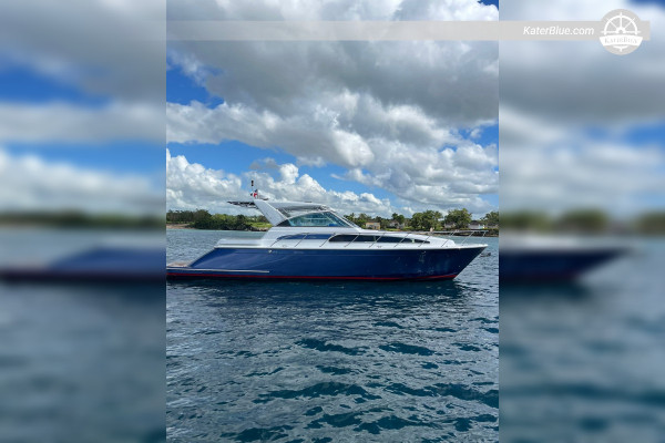 8-Hour Private Yacht Charter - Chris-Craft 43, Marina Cap Cana to Catalina Island