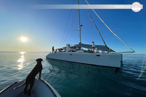 Dagsture med skipper fra Port Douglas – Udforsk Low Isles Lagoon og det indre Great Barrier Reef