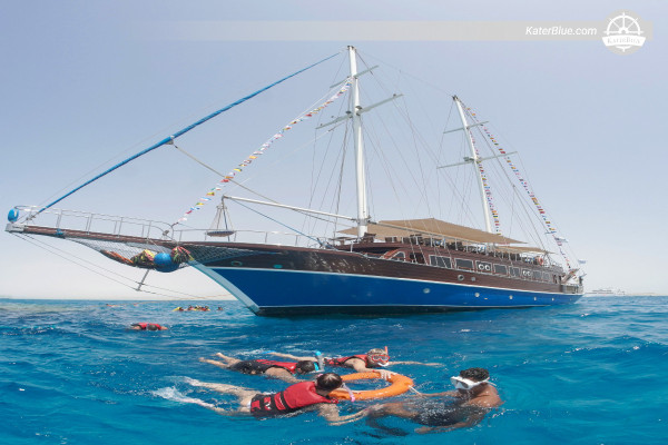 Από την πόλη Anemone προς τον ύφαλο Yolanda – 7ωρη ενοικίαση γκουλέ στην Ερυθρά Θάλασσα με ξεναγό, ναυάγια και γκουρμέ γεύμα