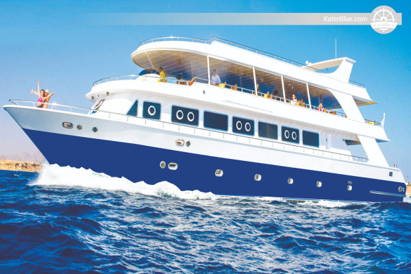 Hurghada Cruise – Sha’ab El Erg Dolphin Reef Experience