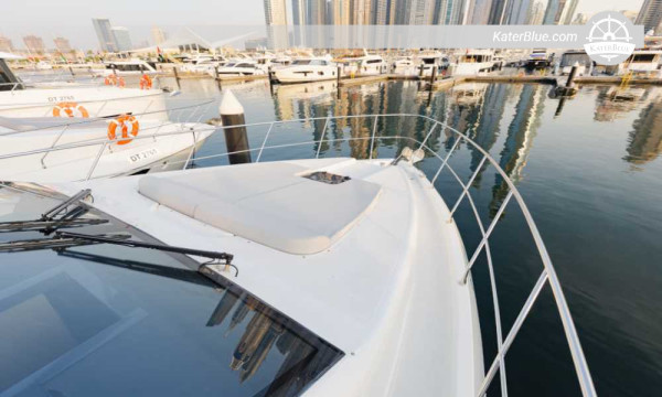 Ruta mangrova i divljih životinja – Eko luksuzni 8-satni najam iz marine Abu Dhabi