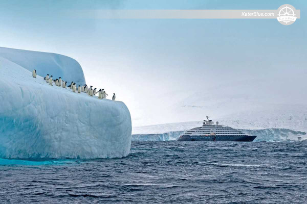 11-dages Falklandsøerne og Antarktis luksusekspeditionscharter fra Ushuaia