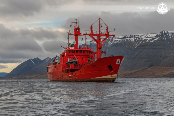 16-Day Falklands, South Georgia and Antarctic Peninsula Luxury Expedition from Ushuaia