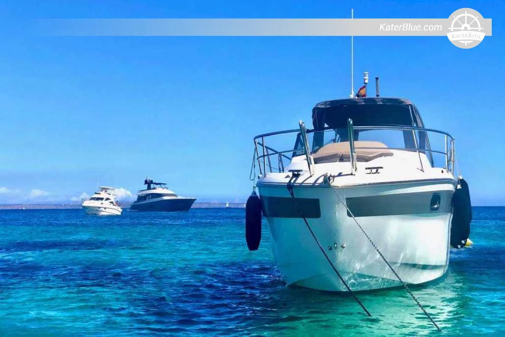 Private Full-Day Skippered Motor Yacht Charter from Palma to Portals Vells and Camp de Mar for Up to 8 Guests