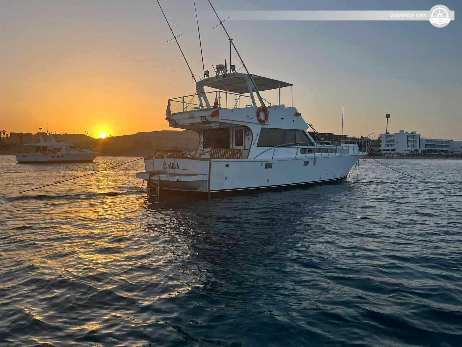 Private Full-Day Fishing, Snorkelling &amp; Dolphin-Watching Tour in Hurghada, Egypt