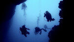 PADI CMAS Experienced Diving Activity in Fethiye Turkey