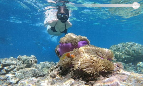 Luxuriöses Segelerlebnis für 25 Personen in Sharm El Sheikh, Ägypten