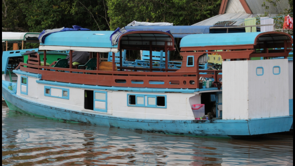 3 Days Houseboat sail along Tanjung Puting National Park-Indonesia