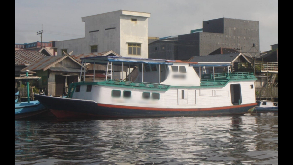 3 Days Houseboat sail along Tanjung Puting National Park-Indonesia