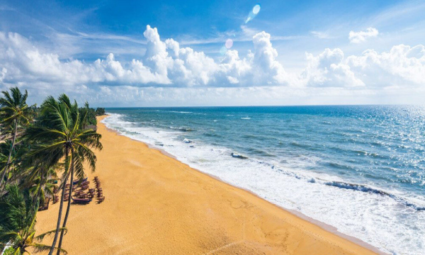 Profitez d'une croisière le long de la côte pittoresque du mont Lavinia, au Sri Lanka.