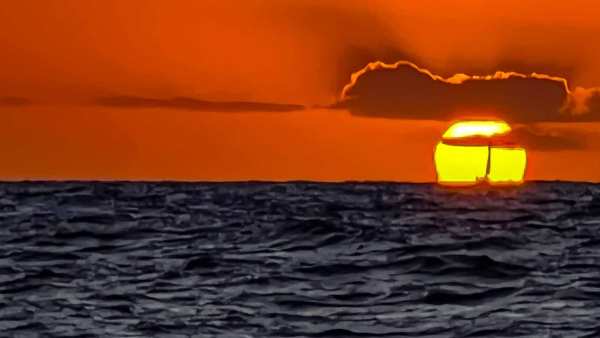 Croisière privée d'une nuit de Miami à Key Largo à bord du Beneteau Oceanis 400